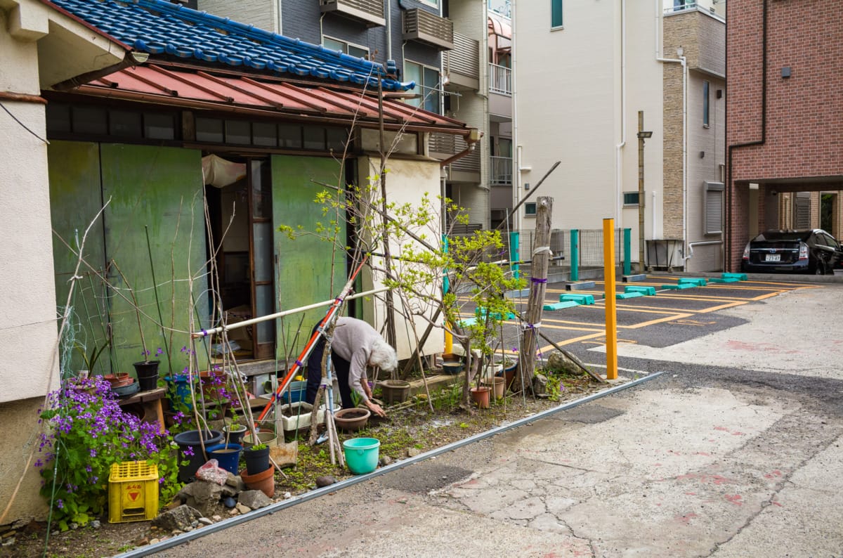 Scenes of urban Tokyo in spring