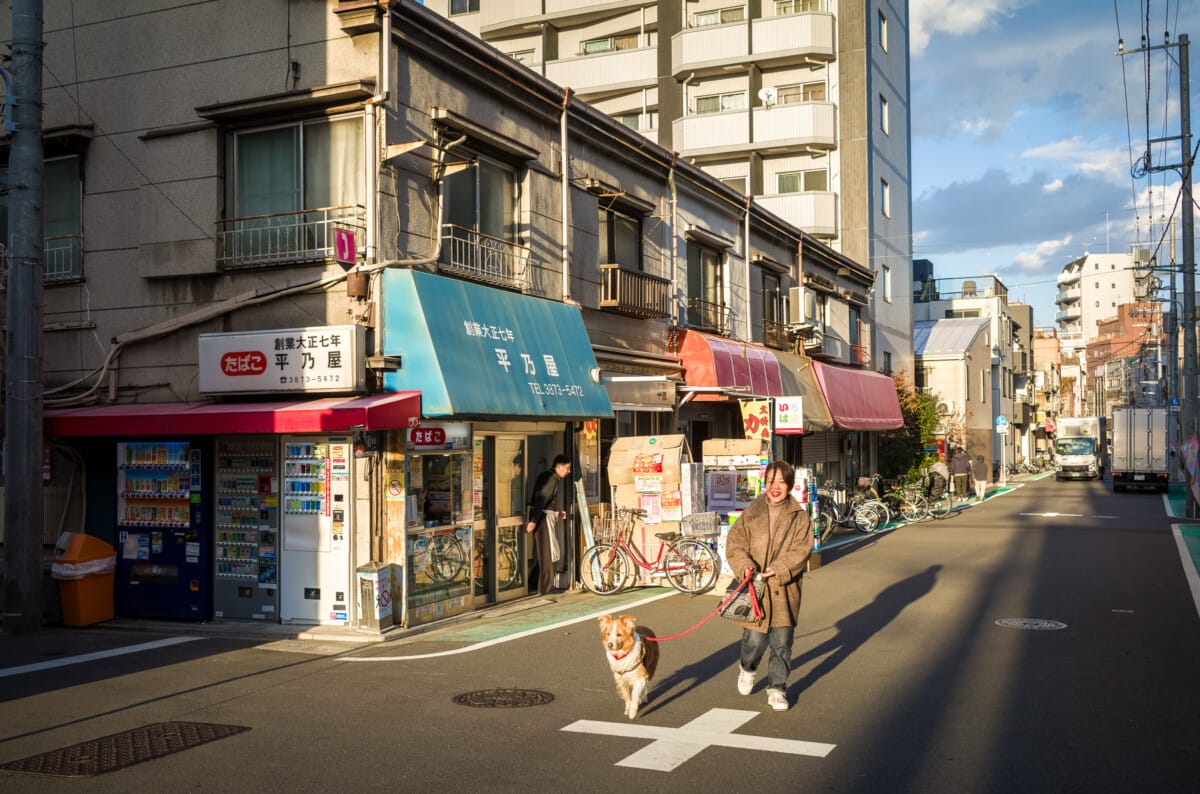 Varied scenes from varied Tokyo walks